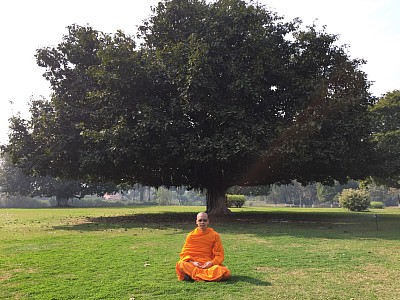 ธรรมะปรีดา:ปฏิบัติธรรม