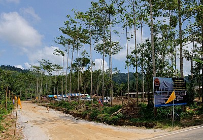 ภาพที่ดิน กำลังรวบรวมสมทบทุนเพื่อจัดซื้อ ณ ศูนย์ปฏิบัติธรรมแก้วระนอง จ.ระนอง